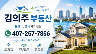 김의주 부동산
